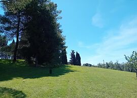 Peccioli Countryside Villa