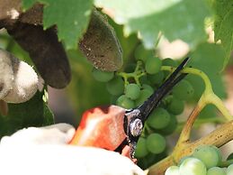 Belvilla by OYO Villa Le Buche