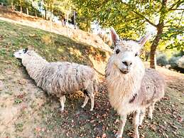 Belvilla by OYO Otello & Don Carlos