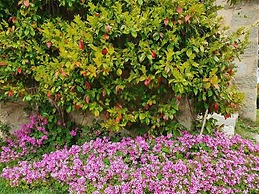 Belvilla by OYO Appartamento Vista Montagna