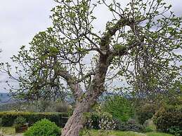 Belvilla by OYO Appartamento Vista Montagna