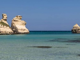 Apartment in the Gargano Park Near the sea