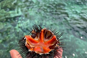 Apartment in the Gargano Park Near the sea