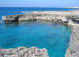 Seaside Comfort for You and Your Pet