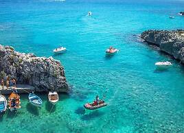 Seaside Comfort for You and Your Pet