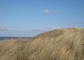 Welcoming Chalet in Oostkapelle With Garden