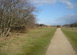 Welcoming Chalet in Oostkapelle With Garden