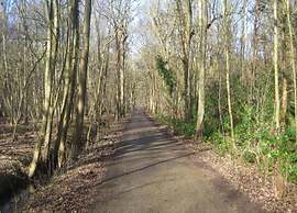 Welcoming Chalet in Oostkapelle With Garden