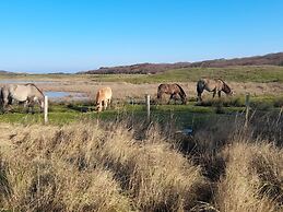 Amazing Chalet in Oostkapelle With Garden