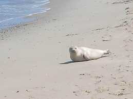 Amazing Chalet in Oostkapelle With Garden