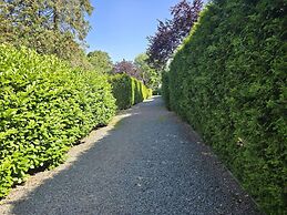 Home in the Dancing Forest