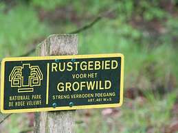 Luxury Chalet in Garderen