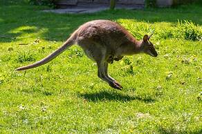 Apartment With Mini Campsite and Playground