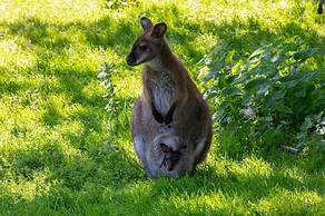 Apartment With Mini Campsite and Playground