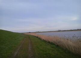 Villa in Zeeland With Jacuzzi and Sauna