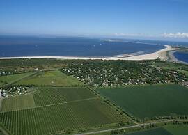 Apartment Near the Beach