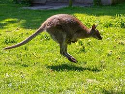 Superb Apartment Near the Beach in Vrouwenpolder