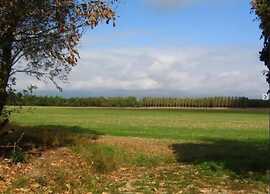 Breathtaking Penthouse Views