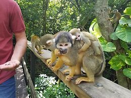 Sunset Haven: Beach Isle House FL Keys MIA Marina