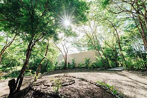 Alaya Yoga & Surf & Retreat