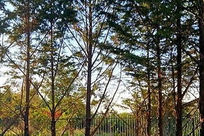 Casa Vacanze in Campania