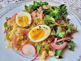 Buffalo Harmony House