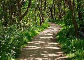 Coastal Apartment in Westkapelle