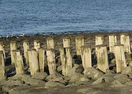 Coastal Apartment in Westkapelle