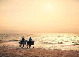 Studio in Domburg Near Beach and Golf