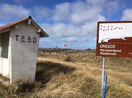 Apartment in De Cocksdorp With Terrace