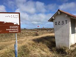 Apartment in De Cocksdorp With Terrace
