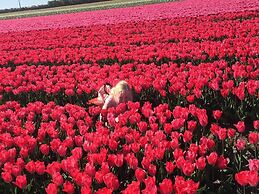 Stylish Holiday Home by the sea