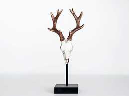 Detached new 10-person Villa in Holiday Park