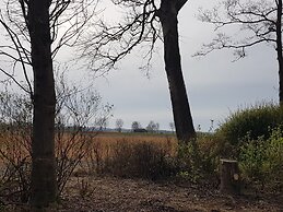 Charming Stay in North Holland