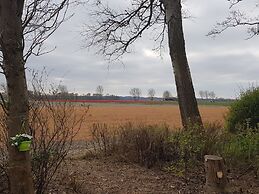 Charming Stay in North Holland