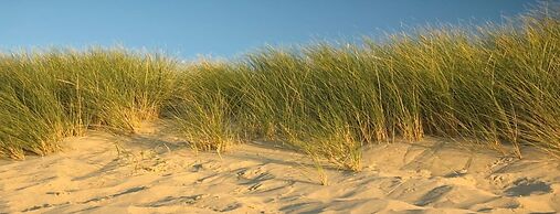 Premium Apartment With Private Wellness