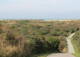 Studio in Domburg Near Beach and Nature Reserve