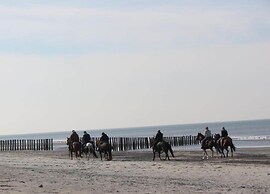 Studio in Domburg Near Beach and Nature Reserve