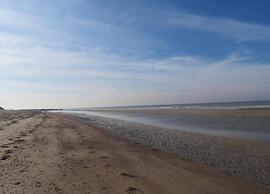 Studio in Domburg Near Beach and Nature Reserve