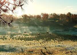 Studio in Domburg Near Beach and Nature Reserve