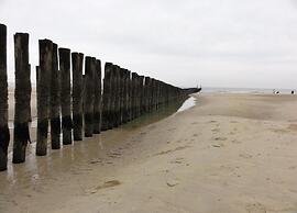 Studio in Domburg Near Beach and Nature Reserve