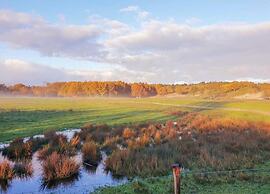 Studio in Domburg Near Beach and Nature Reserve