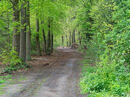 Forest Cabin With Pets