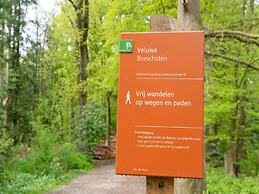 Forest Cabin With Pets