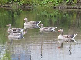Villa in Zeewolde With Terrace