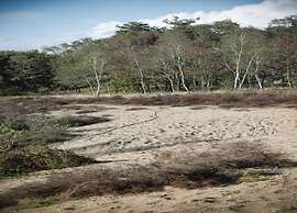 Glass Veranda Chalet in Nature