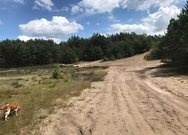 Glass Veranda Chalet in Nature