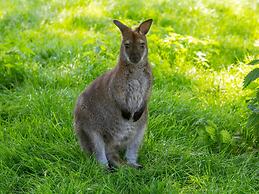 Studio in a Mini-campsite Near Beach