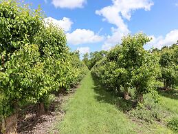 Cosy Holiday Home With Private Sauna