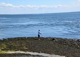 Nice Holiday Home Close to Nature Reserve